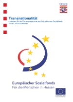 Leitfaden Transnationalität